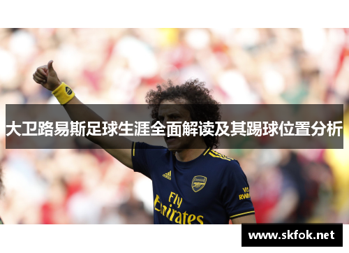 大卫路易斯足球生涯全面解读及其踢球位置分析 大卫路易斯足球生涯全面解读及其踢球位置分析